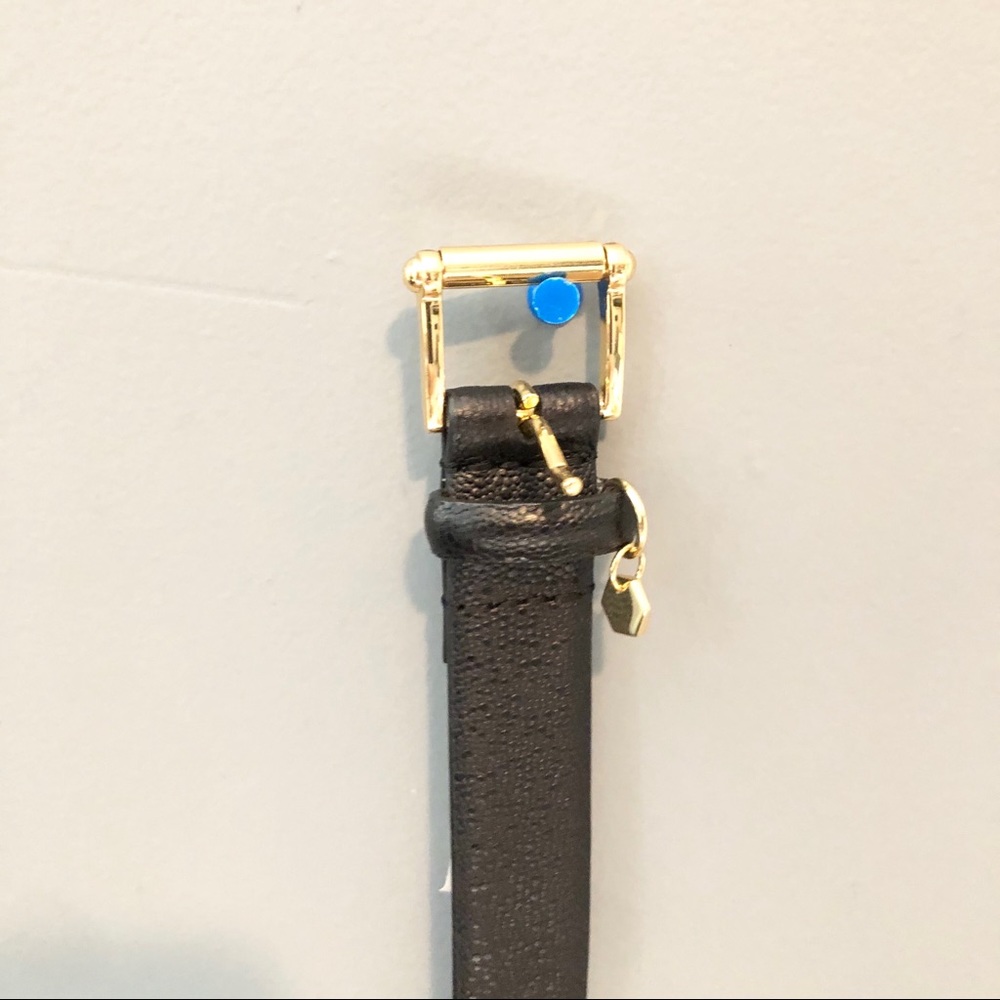 Belt